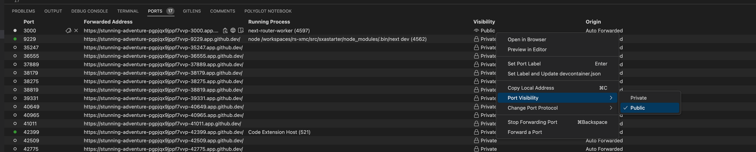 Set Codespaces port forwarding visibility